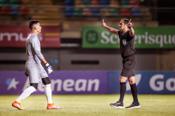 入不仅展示 入不仅展示